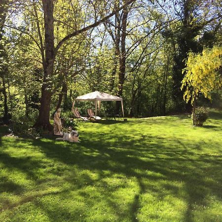 Bed and Breakfast Domaine Du Val De Soux Montgaillard-de-Salies Exterior foto